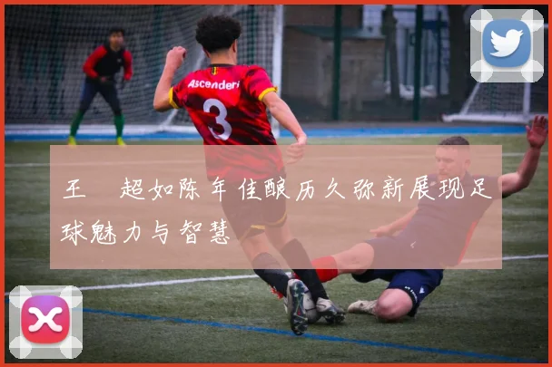 王燊超如陈年佳酿历久弥新展现足球魅力与智慧