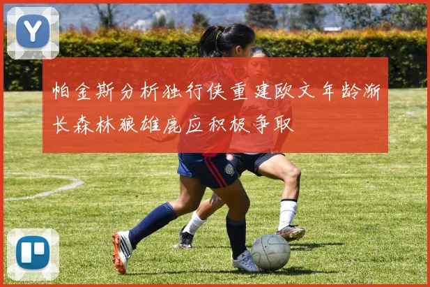 帕金斯分析独行侠重建欧文年龄渐长森林狼雄鹿应积极争取