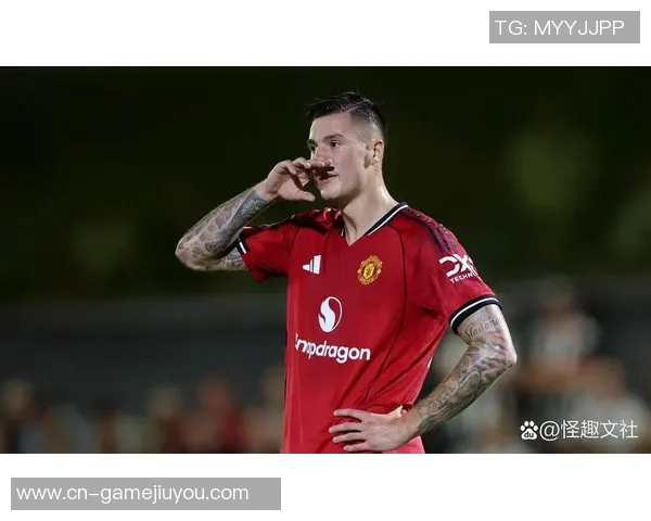 瑞典16岁前锋凯文菲林未在曼联引援名单之中 瑞典16岁前锋凯文菲林未在曼联引援名单之中