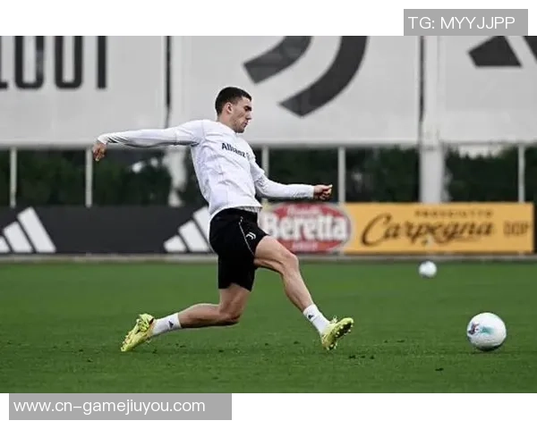 斯基拉报道维罗纳申请租借21岁中卫佩德罗费利佩静待尤文回应